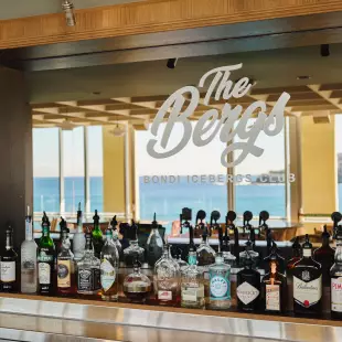 TheBergs_StevenWoodburn_107_HERO copyb